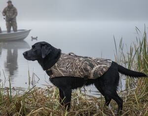 Camouflage Neoprene Dog Vest Large Hypothermia Protection Winter Outdoor Water